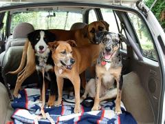 Car ride